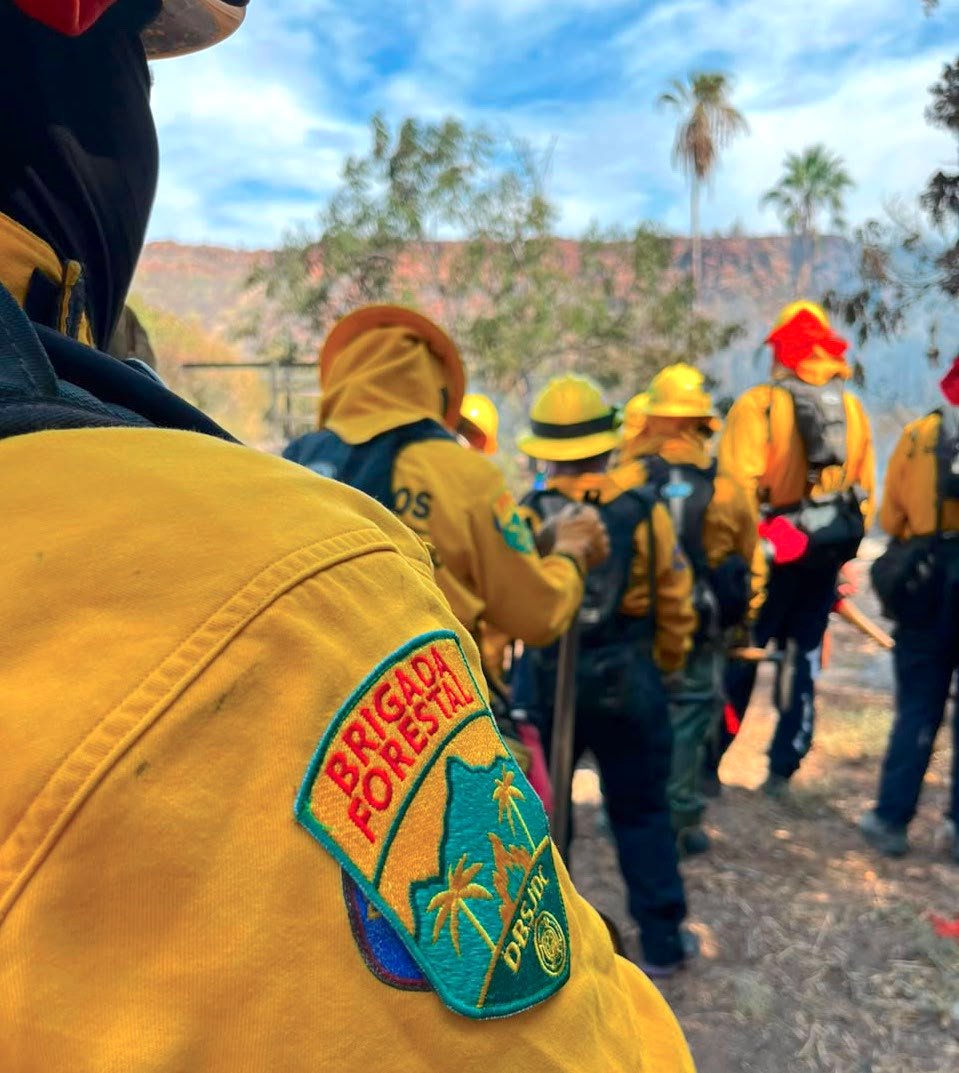 Bomberos de San José del Cabo acude con personal y equipo especializado a San José de Comondú