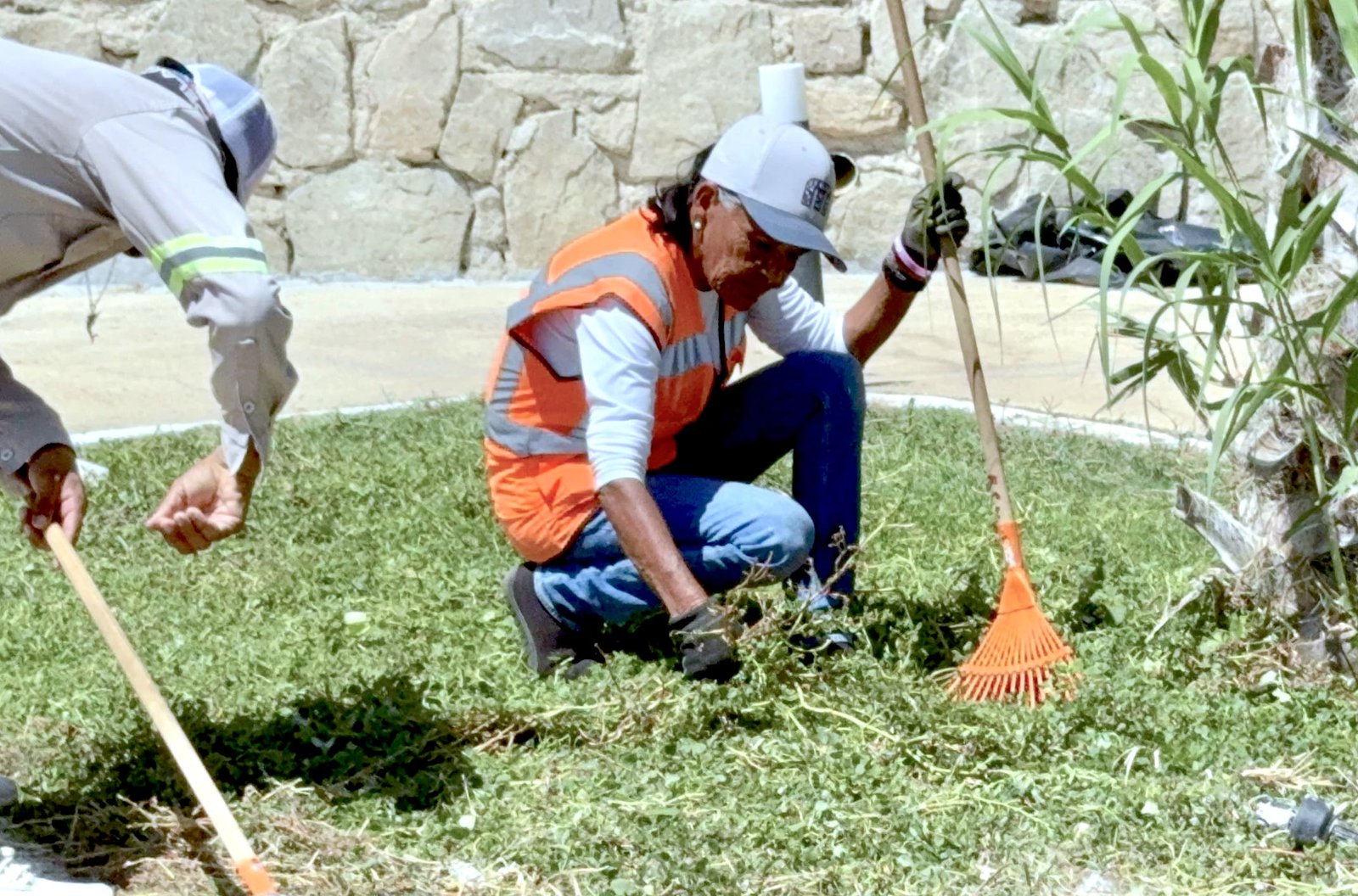 Mantiene Servicios Públicos atención permanente en 211 parques y jardines de Los Cabos