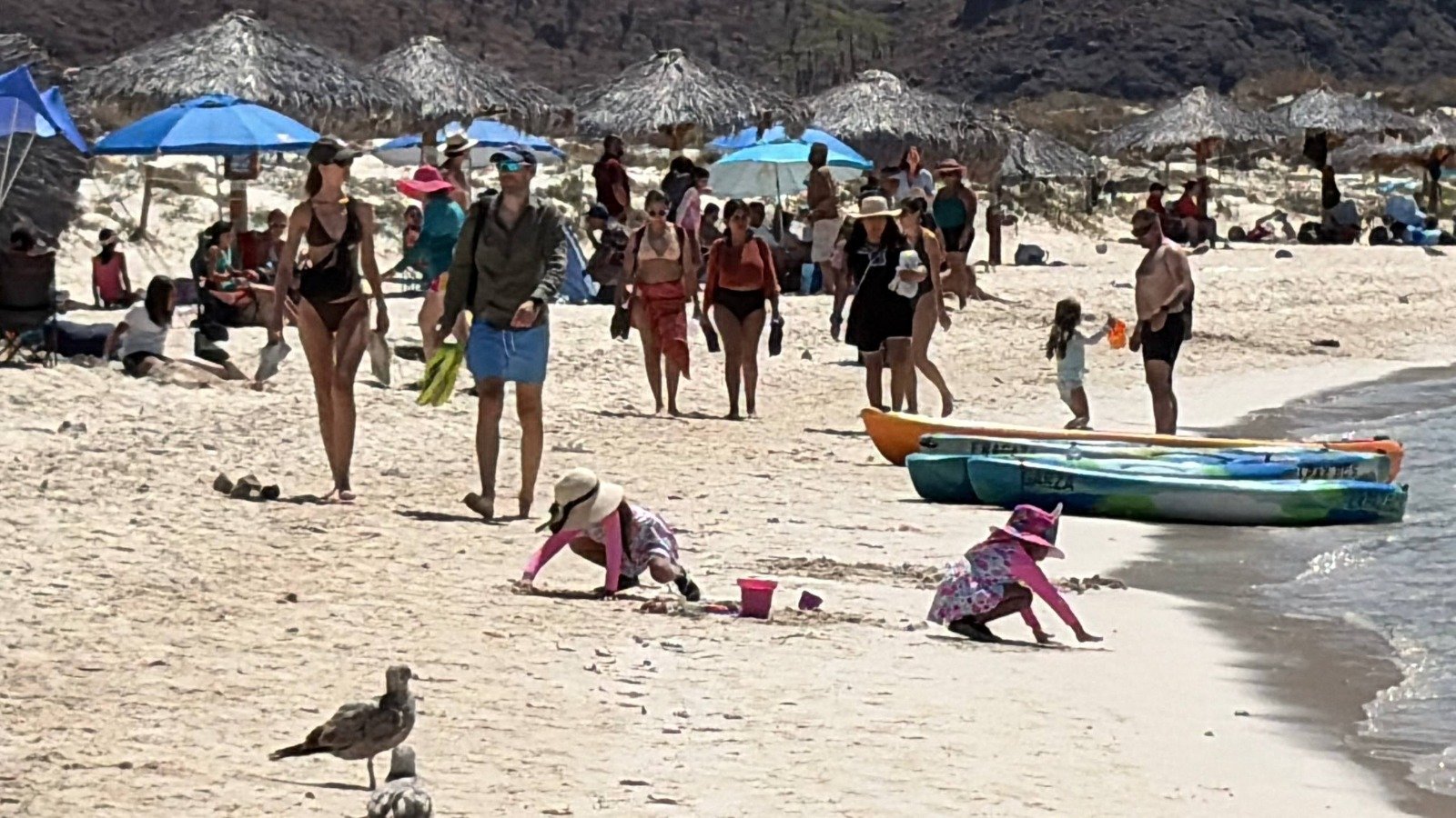 BCS espera una temporada de verano con ocupación hotelera del 70%